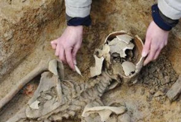 “Torqovı”dan insan sümükləri tapıldı - VİDEO