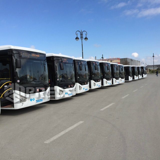 Aeroport yolunda yeni avtobuslar - FOTO