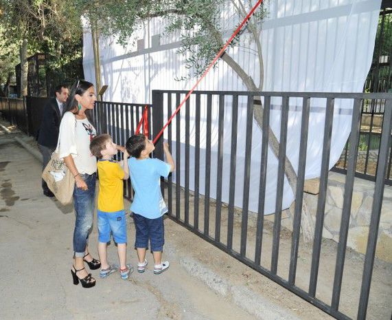 Leyla Əliyeva Bakı Zooloji Parkında yeni qəfəsin açılışında – FOTO