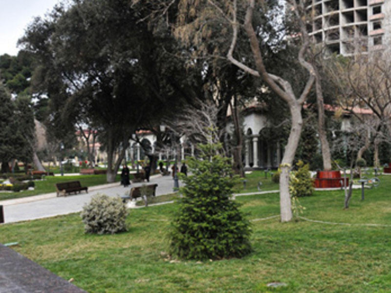 Bakıda parkda dəhşət