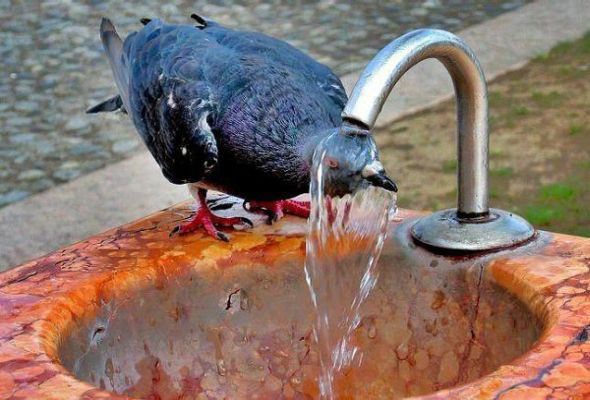 Havanın temperaturu 40 dərəcəyə yüksələcək