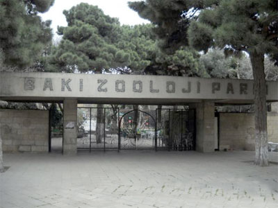 Bakı zooparkında bir sıra yeniliklər edilib -  VİDEO 
