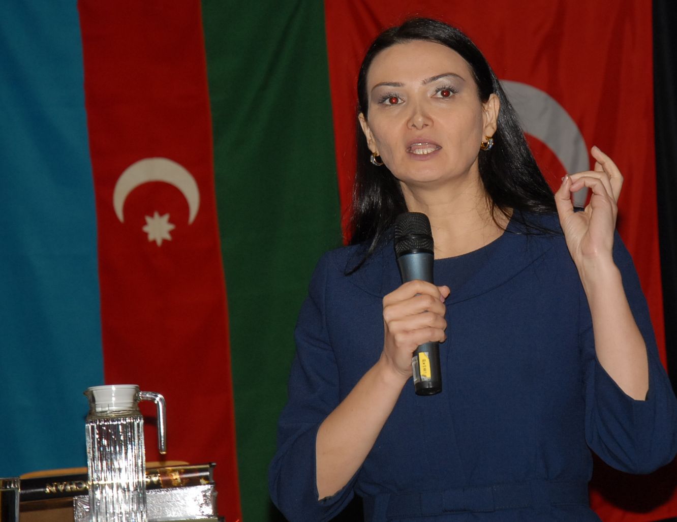 Qənirə Paşayeva ermənilərin dinc əhalini güllələməsindən danışdı