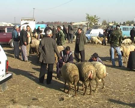 Bərdə bazarında ölüm hadisəsi baş verib