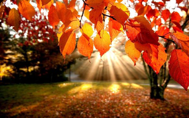Sinoptiklərdən xoş hava müjdəsi