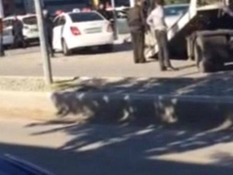 Bakıda ordu zabiti ilə yol polisi əlbəyaxa oldu –VİDEO
