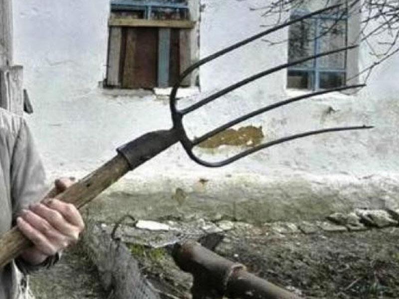 Şəkidə şok olay: - Əmisini bıçaqladı, əmisinin arvadını yabaya keçirdi