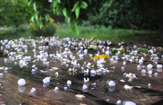 Hava 6 dərəcə soyuyacaq - Dolu yağacaq