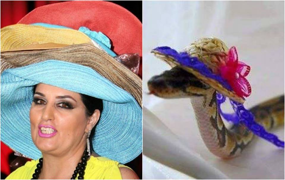 Xalq artisti Elza Seyidcahanı təhqir etdi
