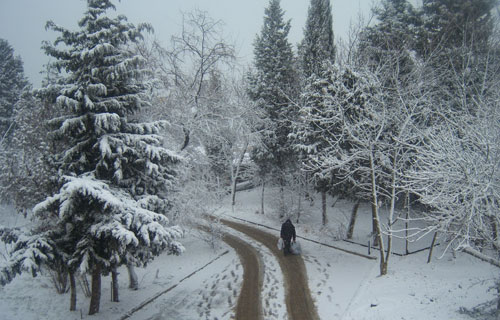 Azərbaycanda qar yağacaq