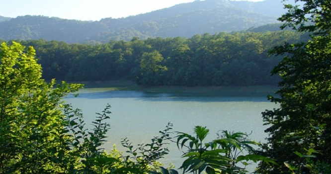 Azərbaycanda nəhəng park salınır - Sahəsi 100 min hektar