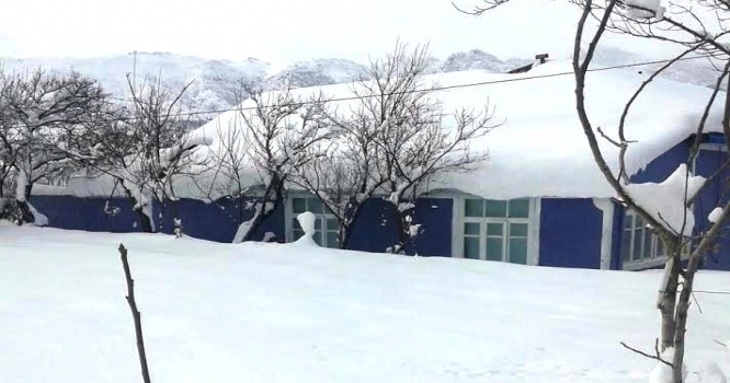 Lerikdə qar uçqunu: Kəndlərlə əlaqə kəsildi - FOTO