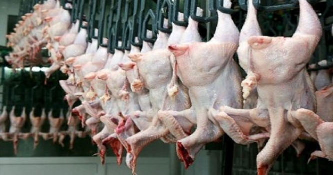 Mağazalarda və bazarda toyuq əti bahalaşdı
