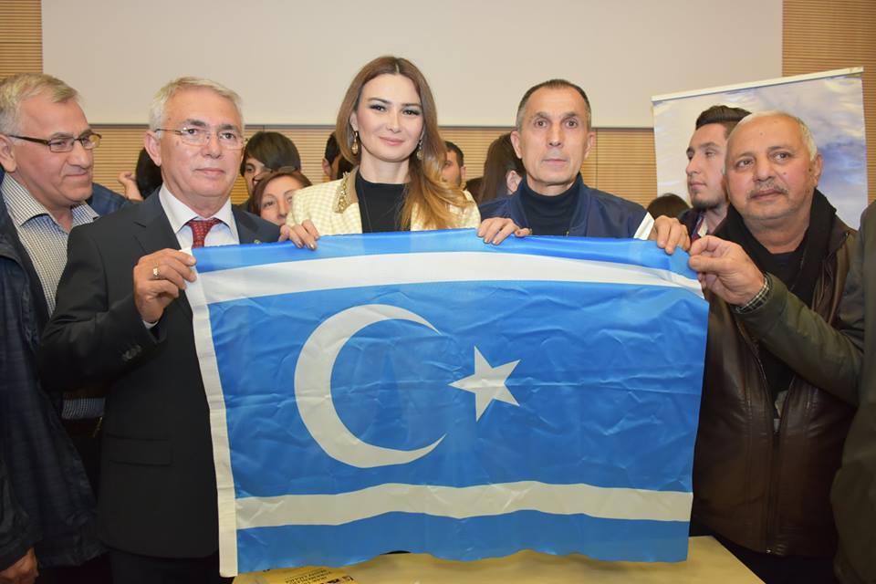 "İraq və Suriya türkmənlərinin vəziyyətini diqqətə çatdırmağa çalşacağıq" - Qənirə Paşayeva