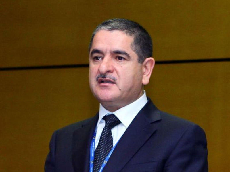 “Şirkətlərin saytları qeyri-işləkdir”- Prezidentin köməkçisi