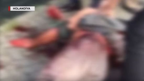 Surət Hüseynovun bıçaqlanan mühafizəçisinin dəhşətli görüntüləri yayıldı - VİDEO +18