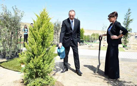 Prezident və ailəsi ağacəkmə aksiyasında