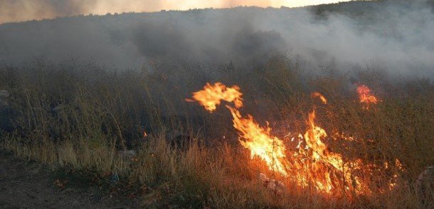 Nazirlikdən "Qızılağac"dakı yanğınla bağlı açıqlama