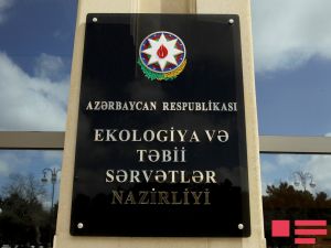 Xızı sakini ağac kəsintisinə görə cərimələnib
