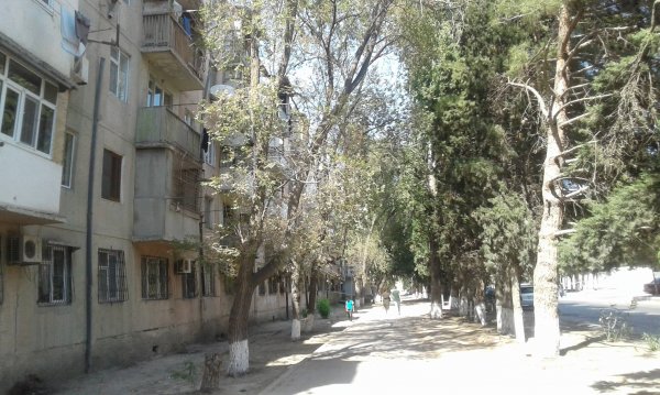 Sumqayıtda dəhşətli hadisə: özünü binadan atdı