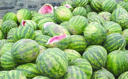 Ağdam sakini qarpızdan zəhərlənib