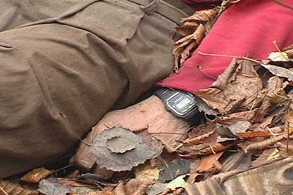 Ağstafa sakini kəsdiyi ağacın altında qalaraq ölüb