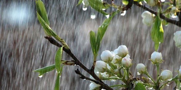 Sabahın hava proqnozu açıqlandı: yağış yağacaq