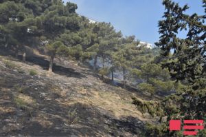 Şahdağ Milli Parkının ərazisində yanğın söndürülüb