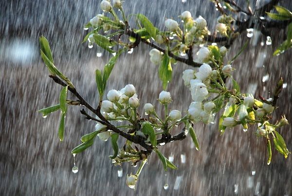 Havanın temperaturu 4-7 dərəcə enəcək – XƏBƏRDARLIQ