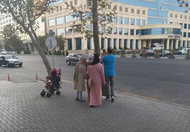 Ərəblər Bakıda ağaclara qənim kəsilib - FOTO