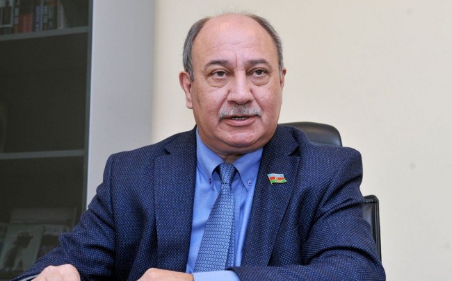 “Dedilər, bit probleminin həlli üçün icra başçısına ərizə yaz” - Deputat
