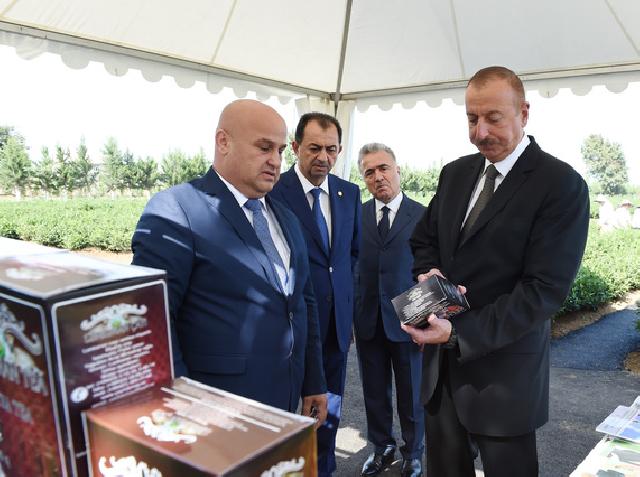 Prezidentin Lənkəran səfəri – Taleh Qaraşovla Müşviq Rəhimov ifşa oldu – Detallar