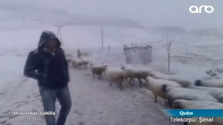 Qubaya 17 sm qar yağdı - VİDEO - FOTO