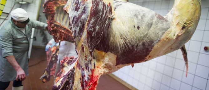 Azərbaycanda insanlara at əti satan ana-bala yaxalandı
