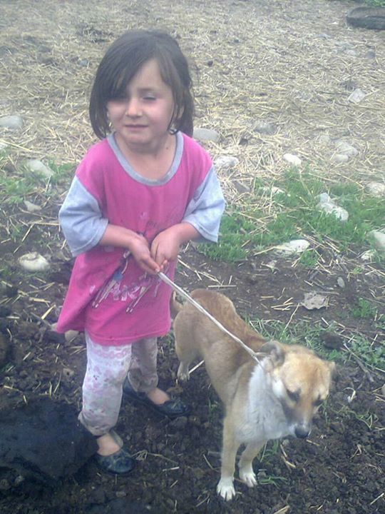 "Mal-qaranı yumaq üçün olan dərmanı südə qatıb və uşağa verdim" - 5 yaşlı qızını zəhərləyib öldürən qadın