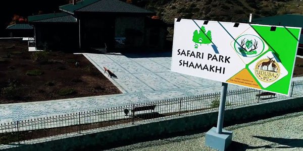 Artıq Azərbaycanın da öz «Safari Park»ı var - VİDEO