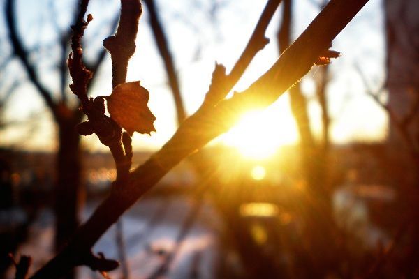 Havanın temperaturu yüksələcək