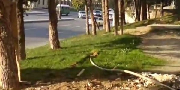 Xətaidə yaşıllıq məhv edilir: parkı qazıb...  - VİDEO
