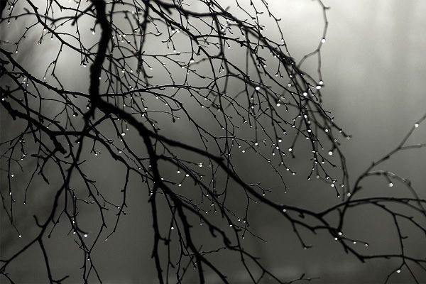 Sinoptiklərdən hava ilə bağlı – XƏBƏRDARLIQ