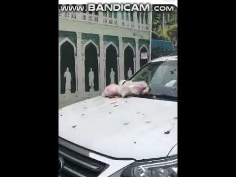 Bakıda yüzminlik maşını cızıq-cızıq edib üstünə zibil atdılar - VİDEO