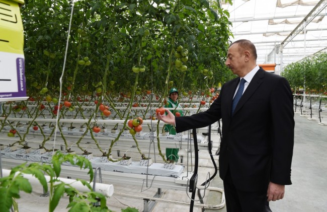 İlham Əliyev “BAKU AGROPARK”da