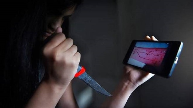 Azərbaycanda internet oyununa görə 2 şagirdin intihar etdiyi iddiasına CAVAB