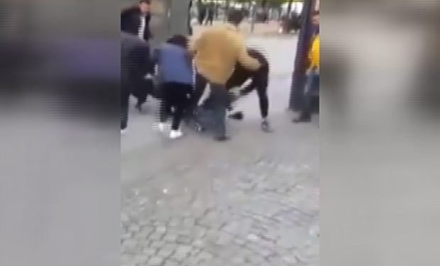 Bakıda şok görüntülər: it körpə uşağı parçaladı +18 — VİDEO