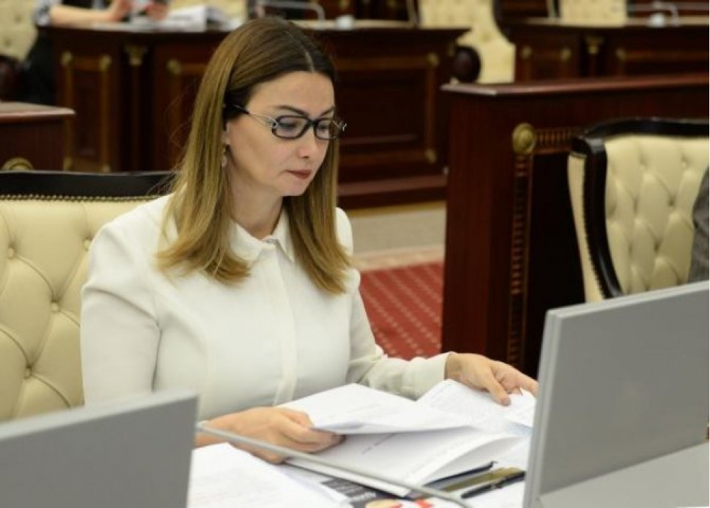 "Əlillər ödənişli ali təhsildən azad edilsin" - Deputatdan təklif