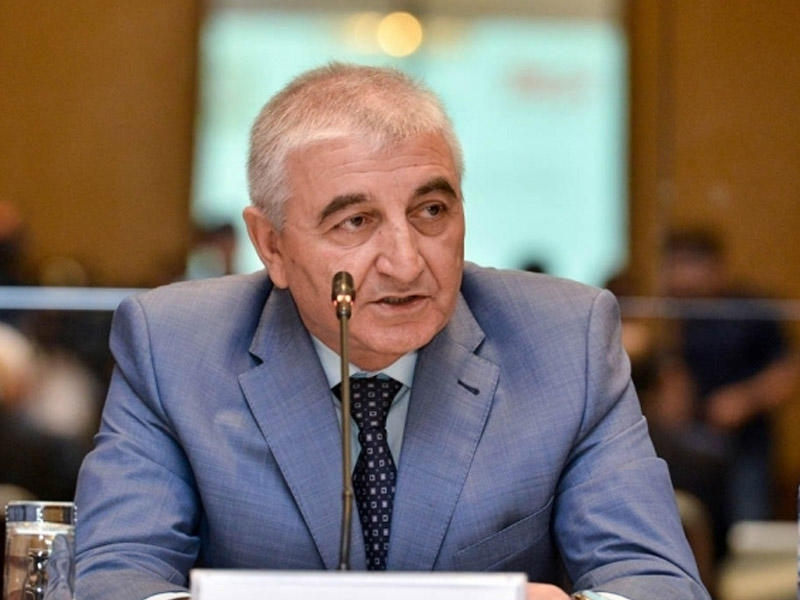 "Sosial şəbəkələr çox pis vəziyyət yarada bilər" - Məzahir Pənahov