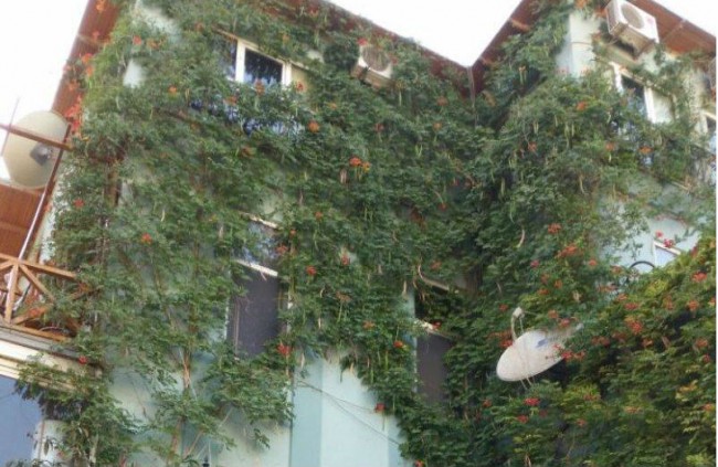 Sürüşmə zonasında villa satışa çıxarıldı - 1,35 milyon manata - FOTO
