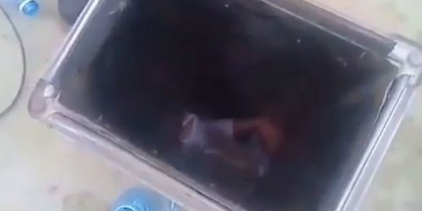 Bakıda restoranın bacasında qalan şəxs oğurluq üçün ora düşübmüş - TƏFƏRRÜAT