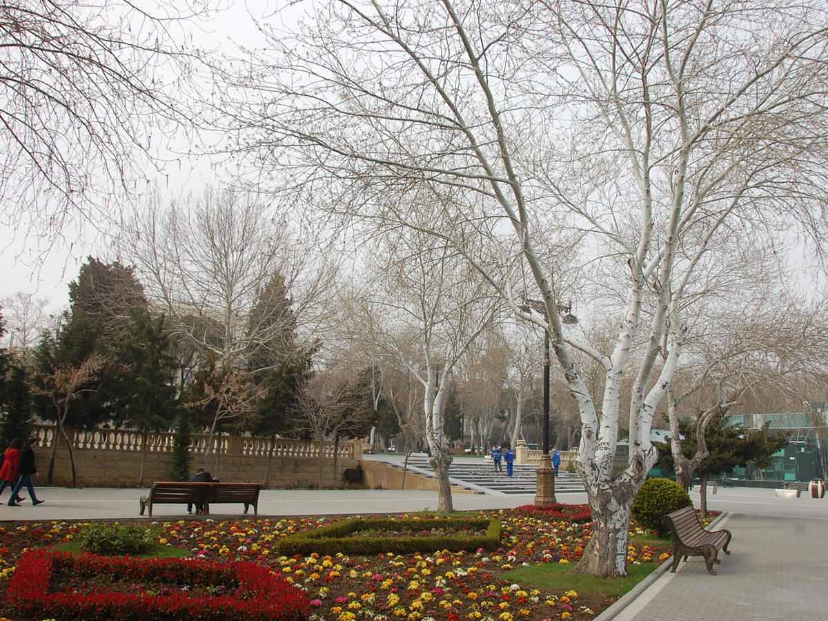 Qar yağacaq
