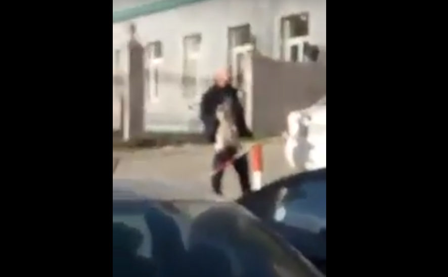 Bakıda iyrənc hərəkət: Gənc oğlan pişiklə cinsi əlaqəyə girdi - VİDEO