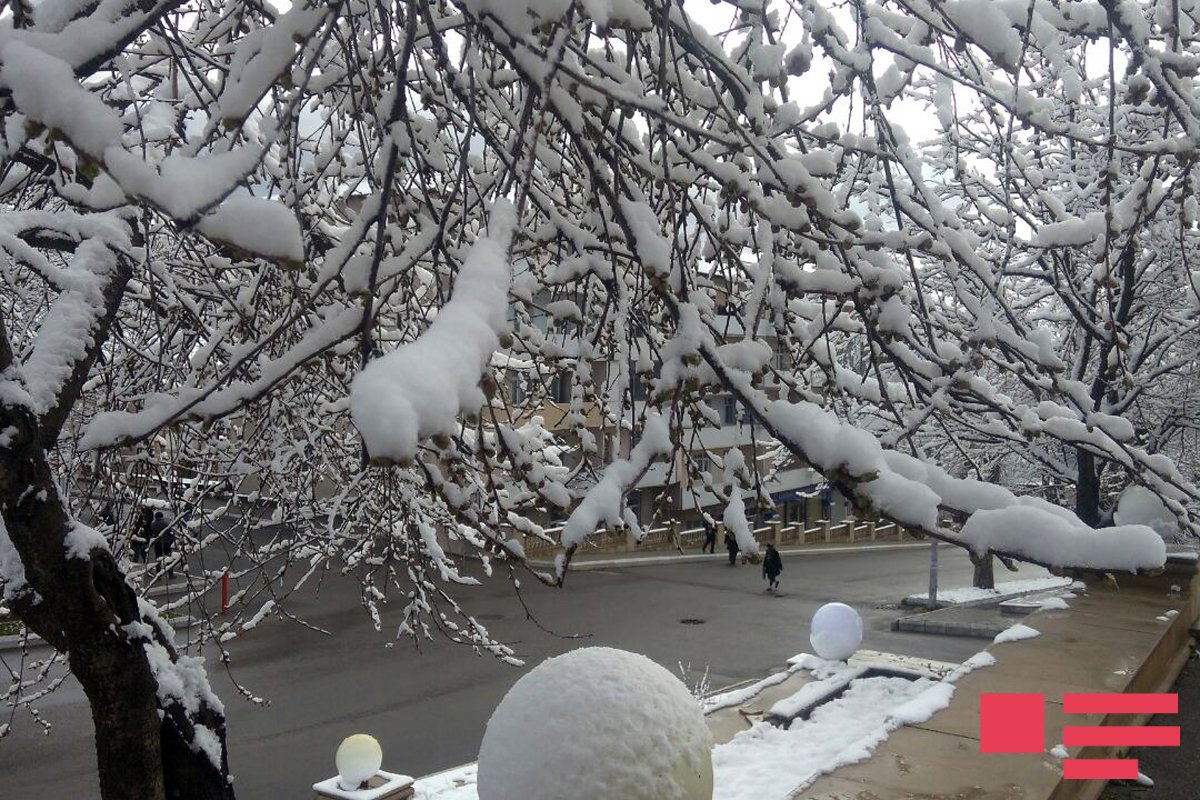 Daşkəsənə güclü qar yağıb - FOTO